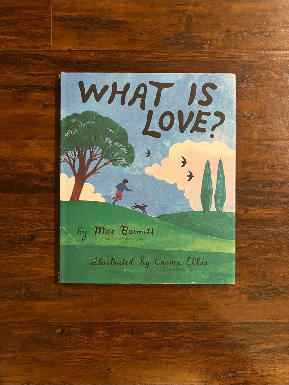 5/$10 Kids Books | What Is Love? By Mac Barnett New York Times Bestseller